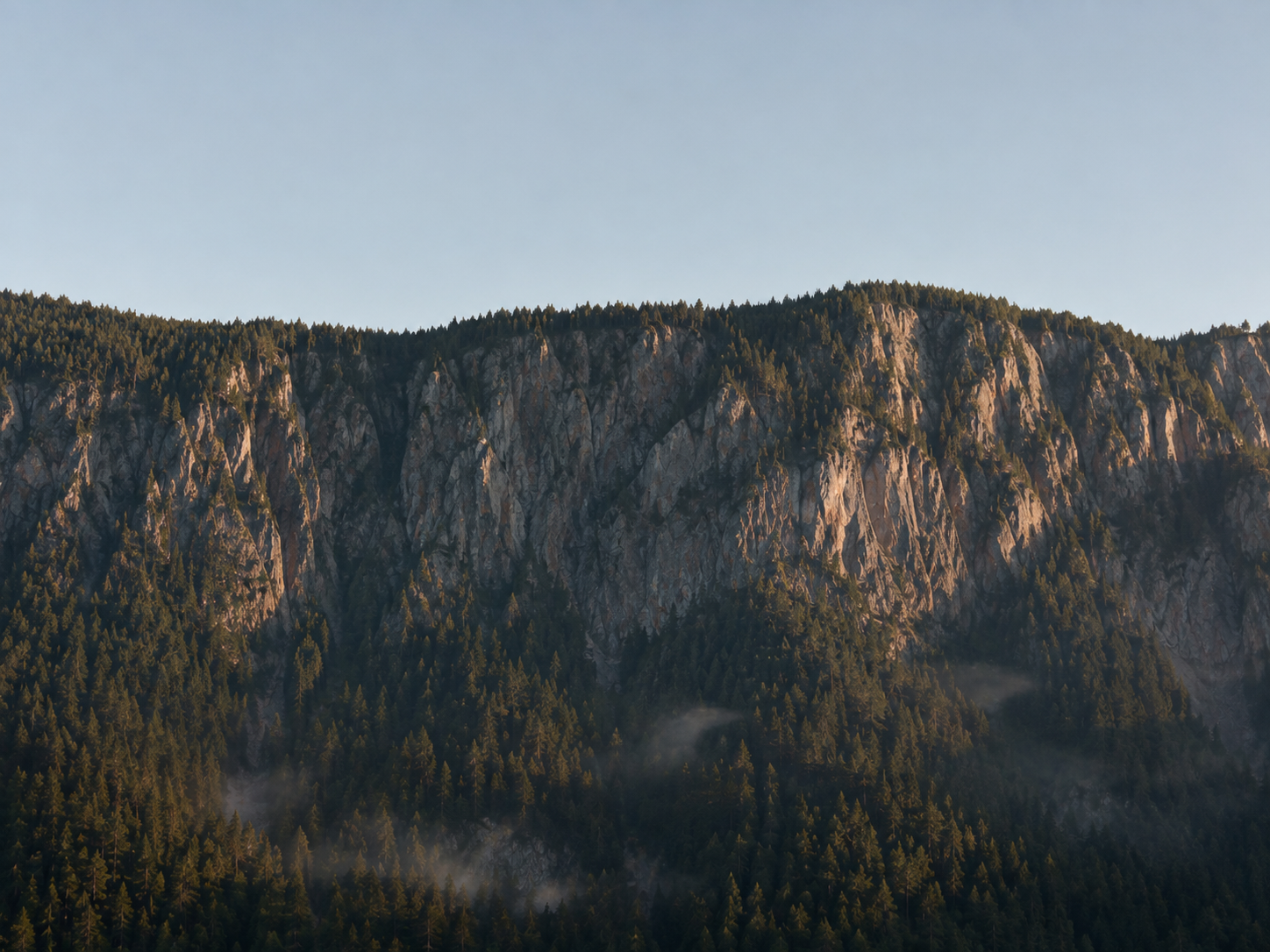 A forested mountain ridge at golden hour