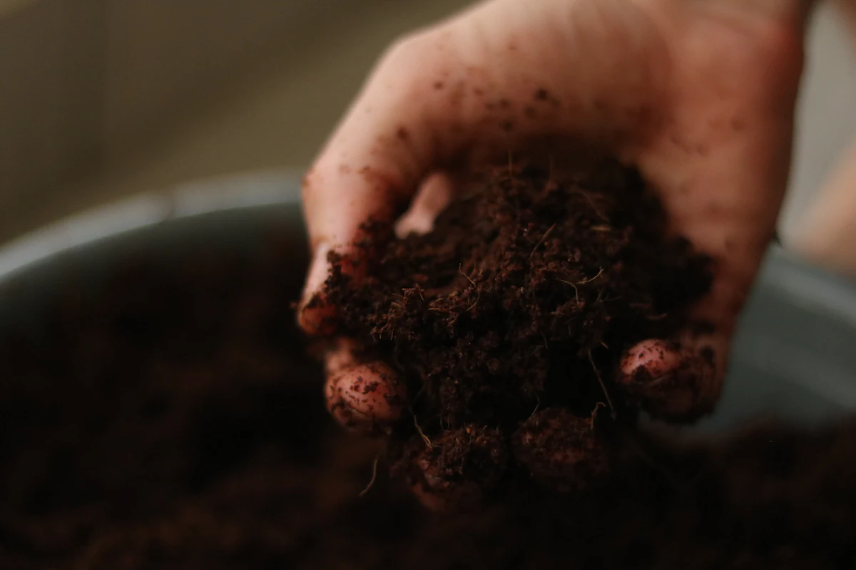 A handful of dark soil